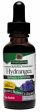 NATURE S ANSWER - Hydrangea Root Extract - 1 fl. oz. (30 ml) For Cheap