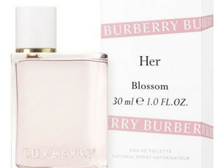 Women s Perfume Burberry BURBERRY HER EDT Cheap