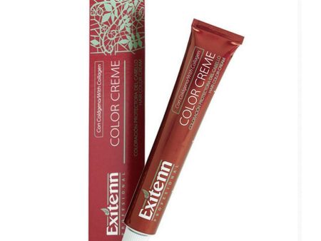 Permanent Dye Color Creme Exitenn Color Creme Nº 570 Light Choco Brown (60 ml) For Cheap