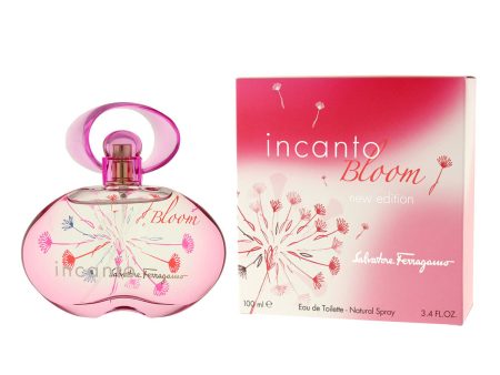 Women s Perfume Salvatore Ferragamo EDT Incanto Bloom 100 ml For Sale