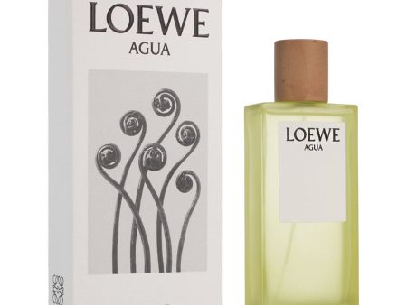 Unisex Perfume Loewe EDT Agua de Loewe 100 ml Online Hot Sale