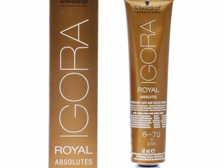 Anti-Ageing Colouring Gel Igora Absolutes N6-70 Schwarzkopf (60 ml) For Cheap